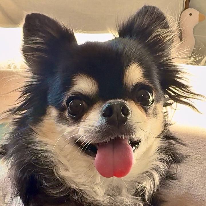 E997f1da c110 4e09 8afb 63c20905e618 1738365422570