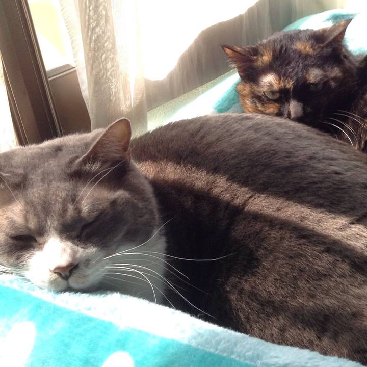 E9981fe1 127c 45f7 955b 48248ac023b2 1520913804768