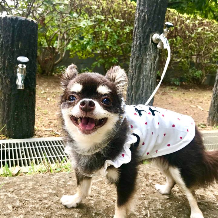 E9983f42 aabb 48f6 a019 82ddfdf7e444 1599550628067