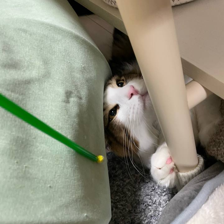 E998ac6f 568d 404b b932 777af5c74a51 1642973275839