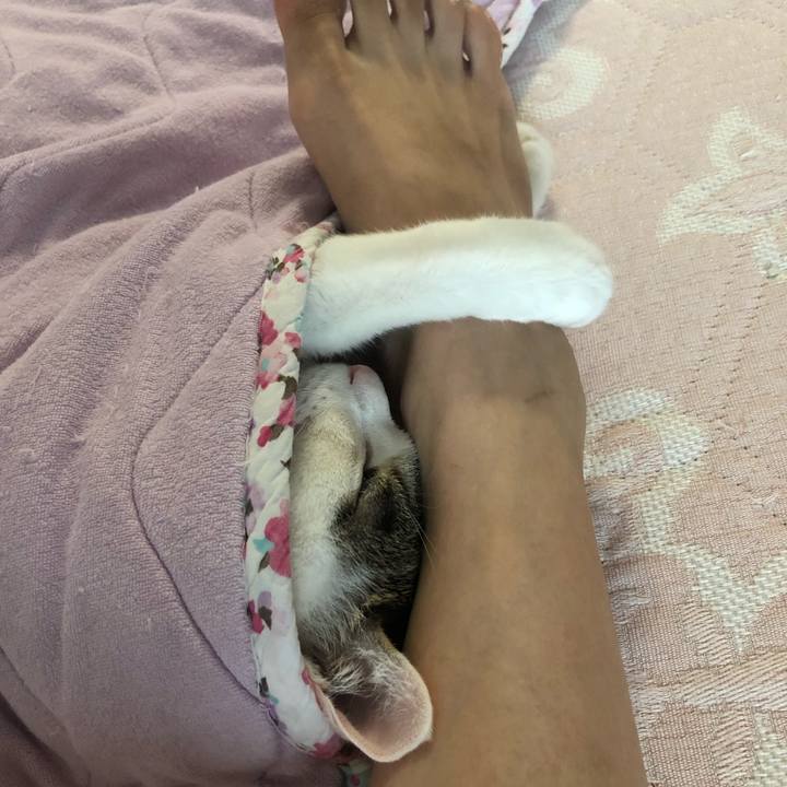 E998b53a 663c 49a0 aa03 1ee733832309 1628482852174