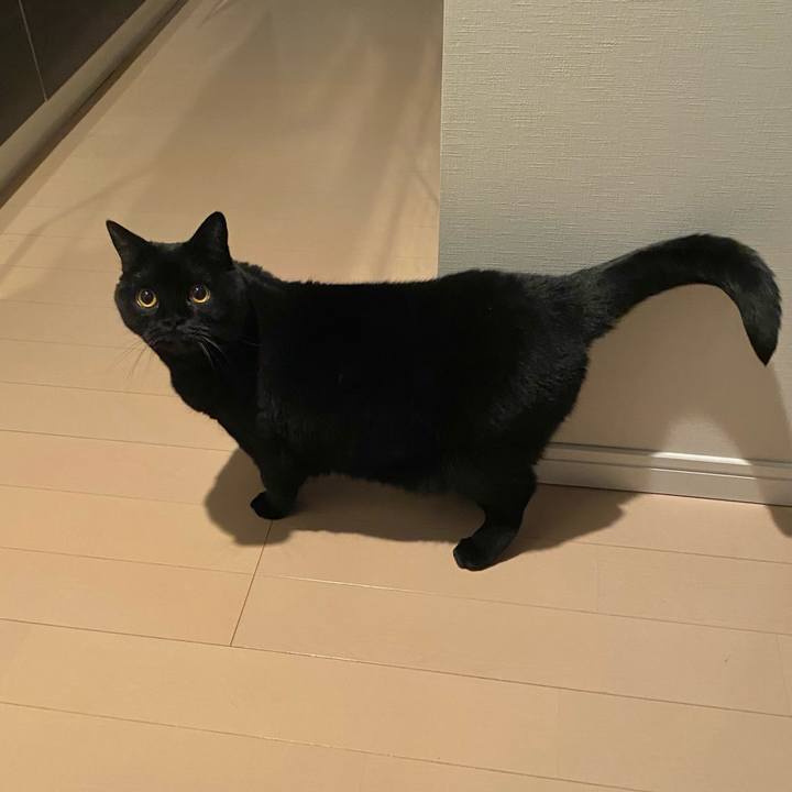 E998cdcd 77b6 4651 b140 9336dc3e54fb 1733832363452