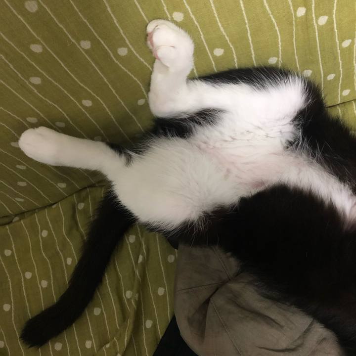 E998db67 b5aa 4e59 affe 4ef07316ece8 1567258256848