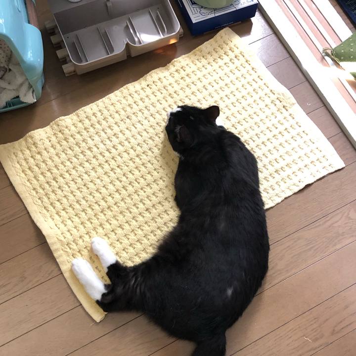 E998db72 5405 4f71 b2ad d23722acfc69 1560816592301