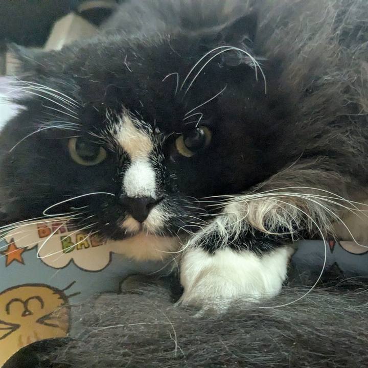 E998eb41 9494 4b2f 827b 12e82e31f174 1760865228081