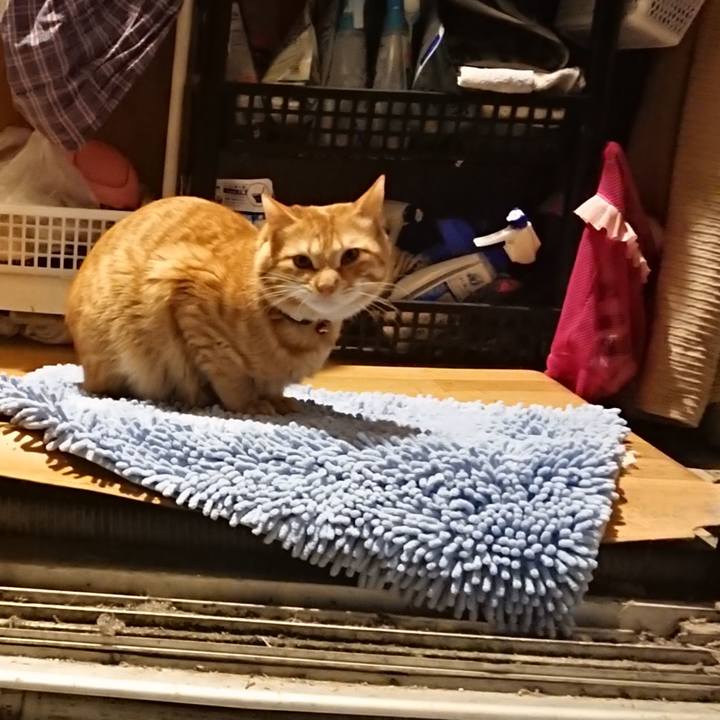 E998efdb 3d01 4f8d ad61 b7b533fffd6a 1644664883232