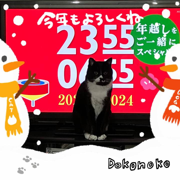 E998f5f1 d844 4bca 9cee 4c15858024ae 1704325120973