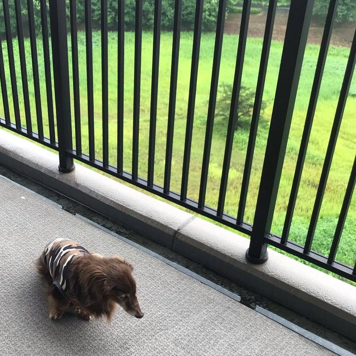 E998f61d f9e7 4082 9869 a8c5da3d7a67 1594946660697