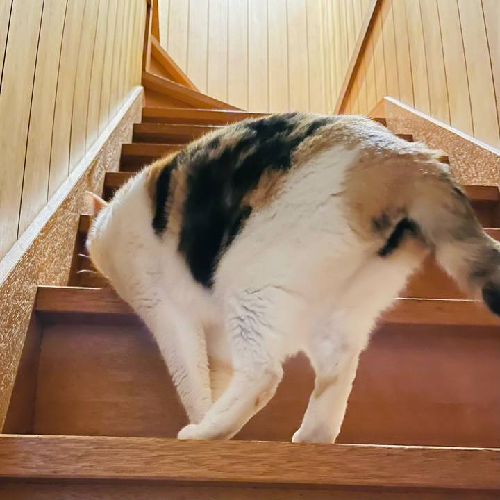 E999658b 6fd0 46ff 8ecc 13a3a1ccfdc8 1650247010866