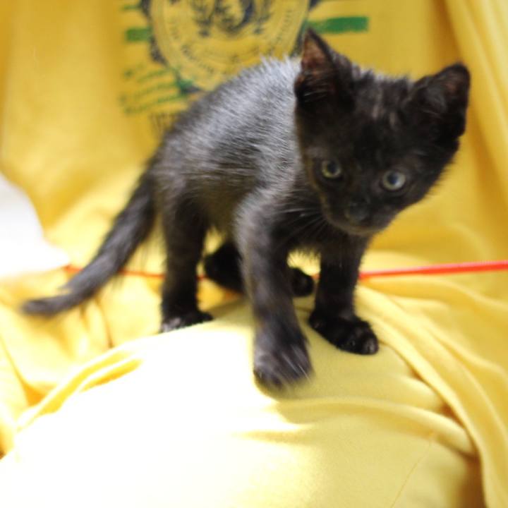 E9996939 7d38 4fd5 b647 6c8150ff0072 1619014329104