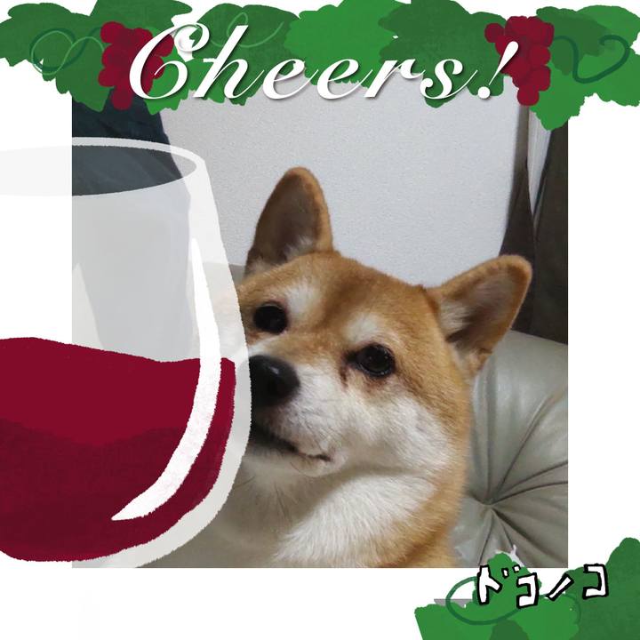 E999743a 250d 4cd8 b409 3f97319c325a 1761112538465