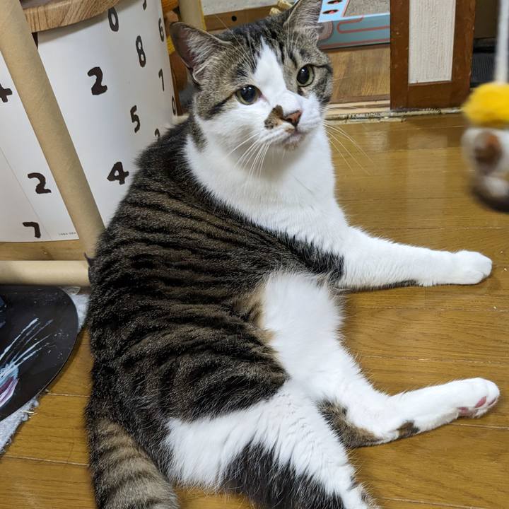 E9999957 7baf 40ba a485 ec37ccda7ccf 1682780888459