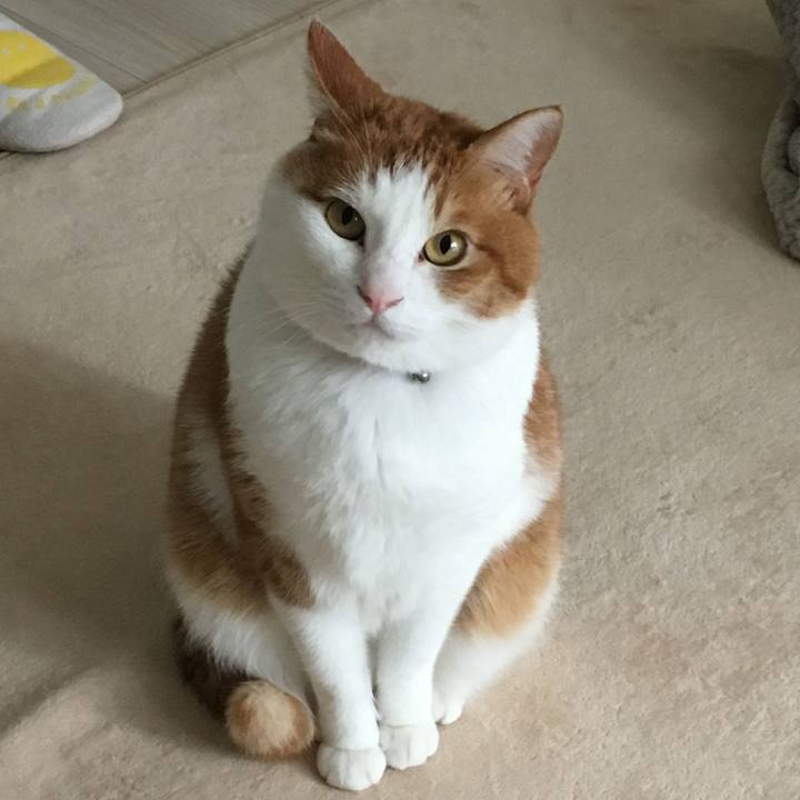 E999da1b e02a 40c1 907c 55b31ae3bdaa 1546743313365