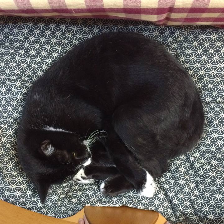 E99a0dab f4cd 4915 b6c2 ae1a1c586cbc 1512618713782