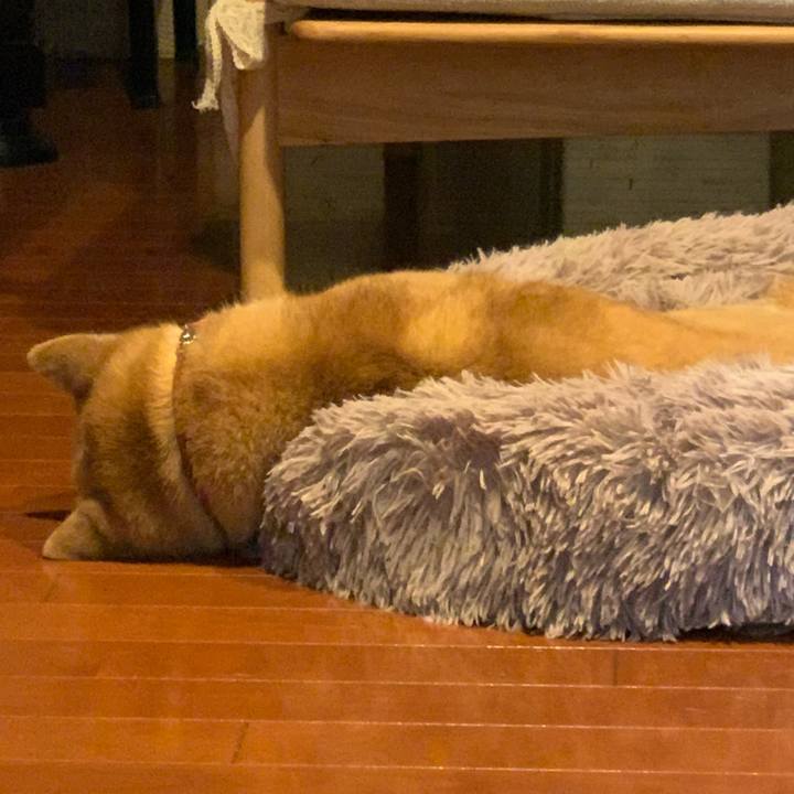 E99a30e0 069f 480e 9af8 f1af9d2dad43 1617892631590