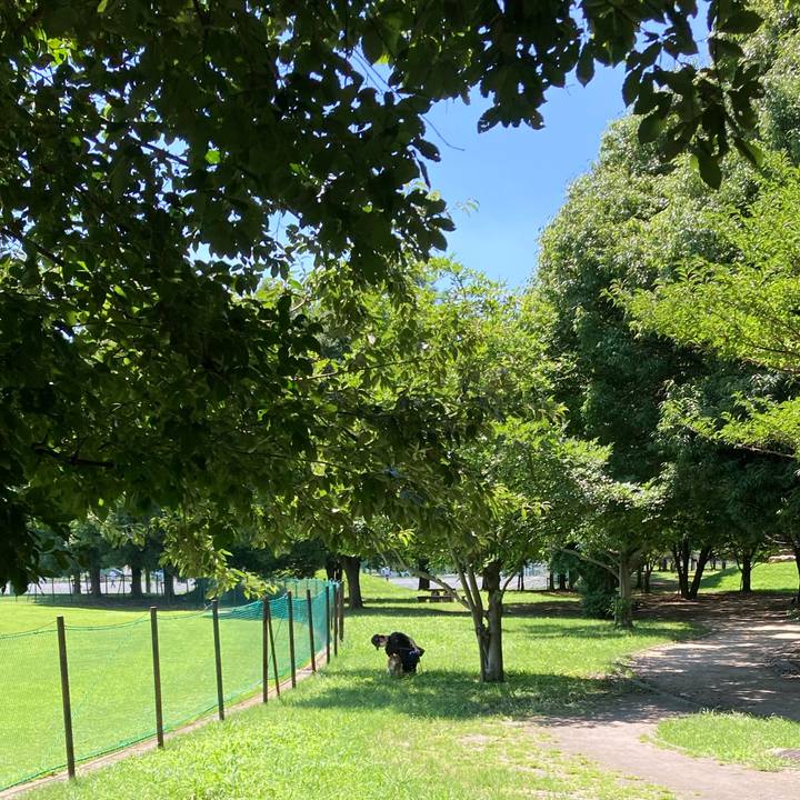 E99a45d4 ceed 4df6 b581 dbc0d73670be 1658730338408