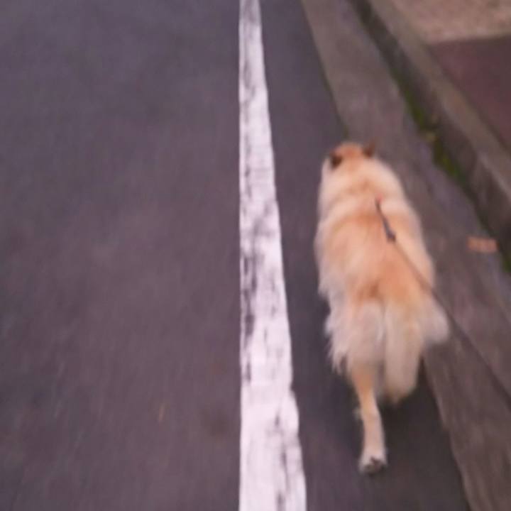 E99a475e 0488 4f13 bea6 74687dc23917 1529579284262