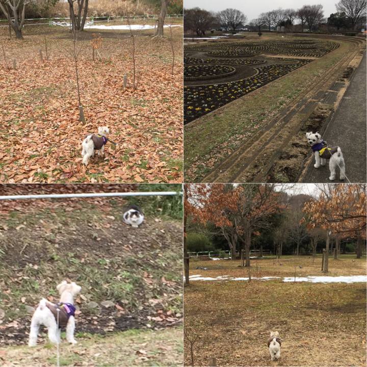 E99a68e2 2f53 4c88 a7ba 9f77ff131ff7 1517647482395