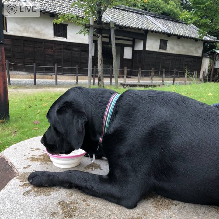 E99a6bf7 63b3 4c34 a61b 37424ad3266b 1570673364120