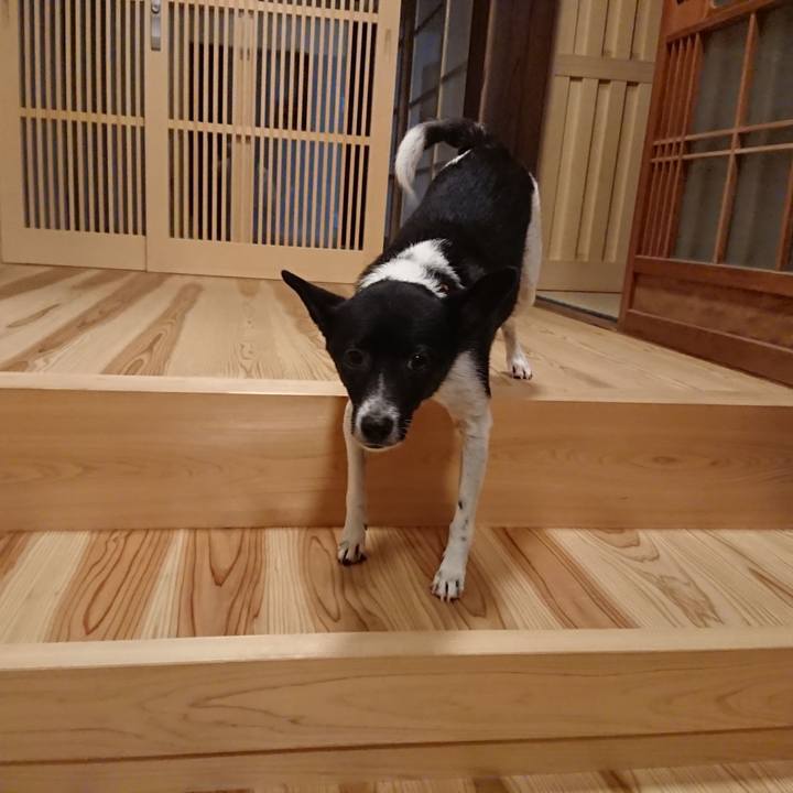 E99a8297 6830 4757 9235 e7c55c8b5034 1569151168841