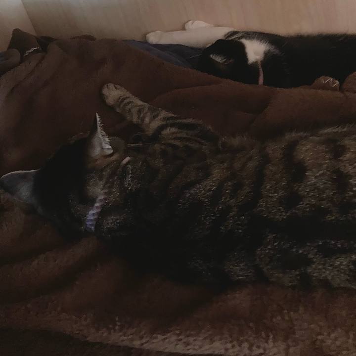 E99a9004 d506 4fc2 818e 7a9f6ad263de 1624347973955