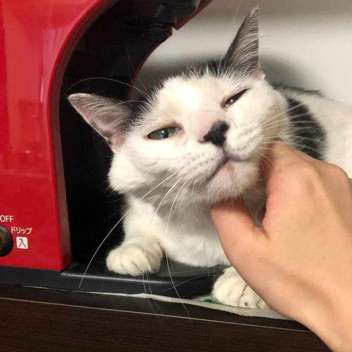 E99aa0ac 3603 44d8 b331 8d2e71a5c259 1594294458357