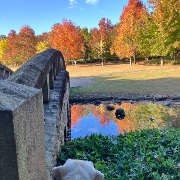 E99aa50f 8802 477e 8281 e7ba998187c7 1668062781548