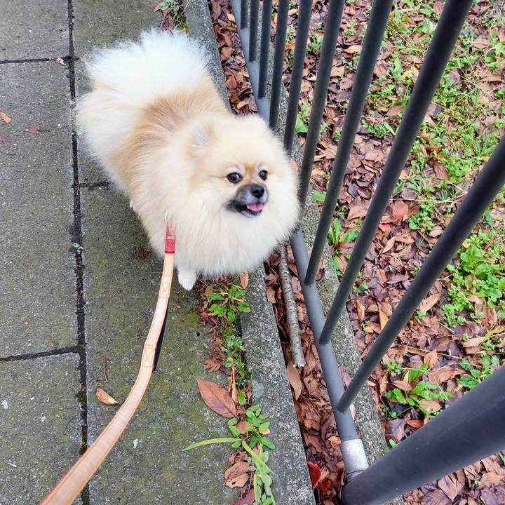 E99ad04e 2ef7 475a 8acc 6fdcfc00fe92 1666608434184