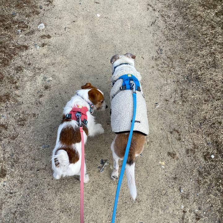 E99adcff 8842 4308 955f 43f3e7284234 1707741557668