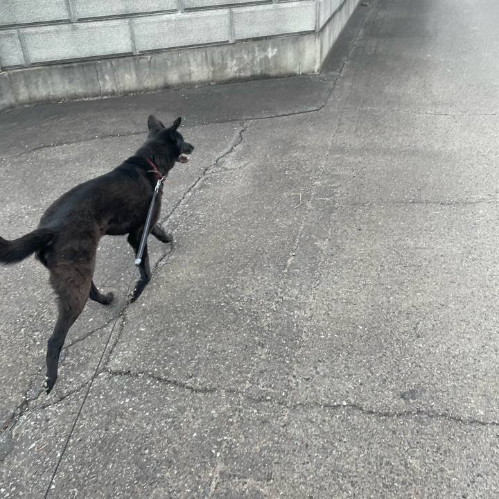 E99aec62 42c8 41fa 923e 76540a5cede6 1648366957142