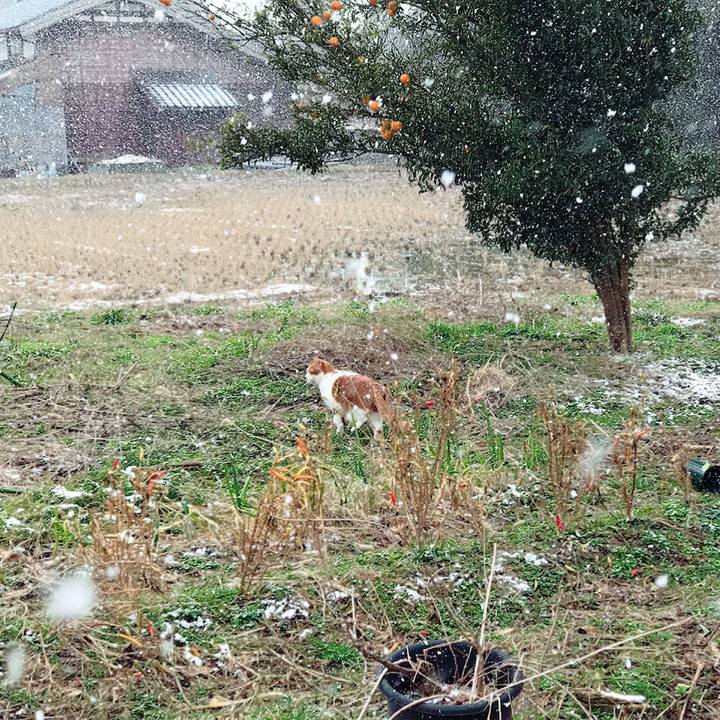 E99afe70 3eba 4ff4 a557 3300c3ea4604 1549602776870