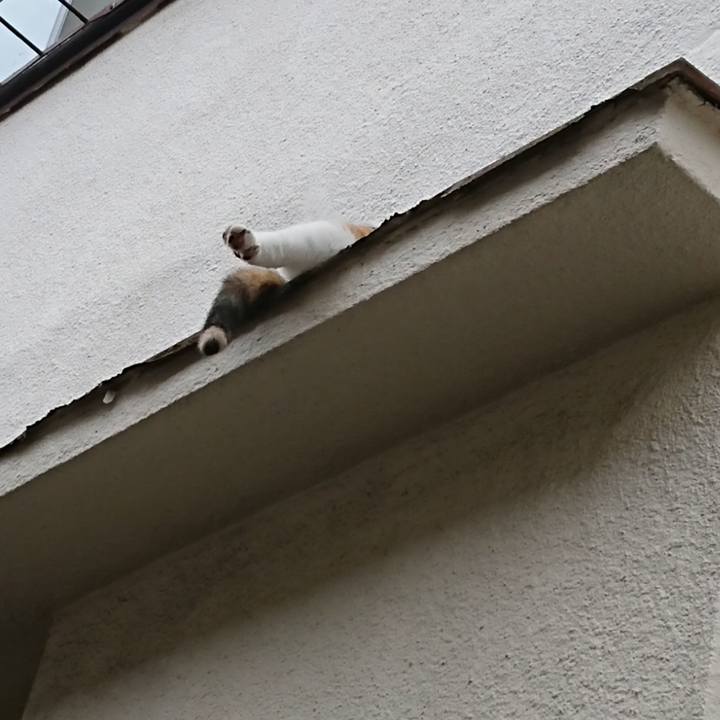 E99b101a 3e3d 4065 8ef7 dec010ad4950 1600384563967