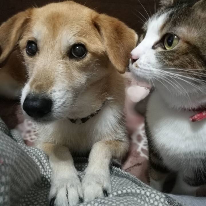 E99b107e fbb6 4263 8e9e 77419ac3a782 1516446767823