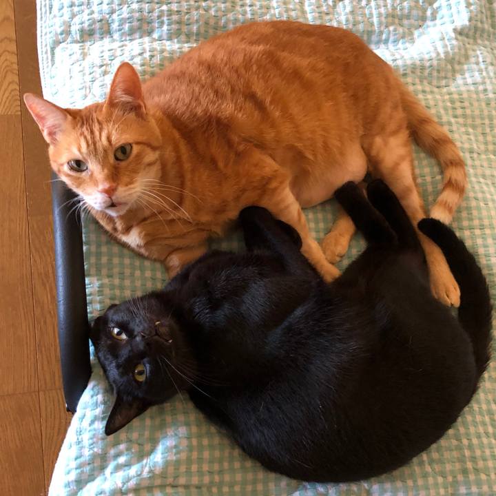 E99b3f73 41ad 4bfa 8f98 4ace212b8c9b 1725155365610