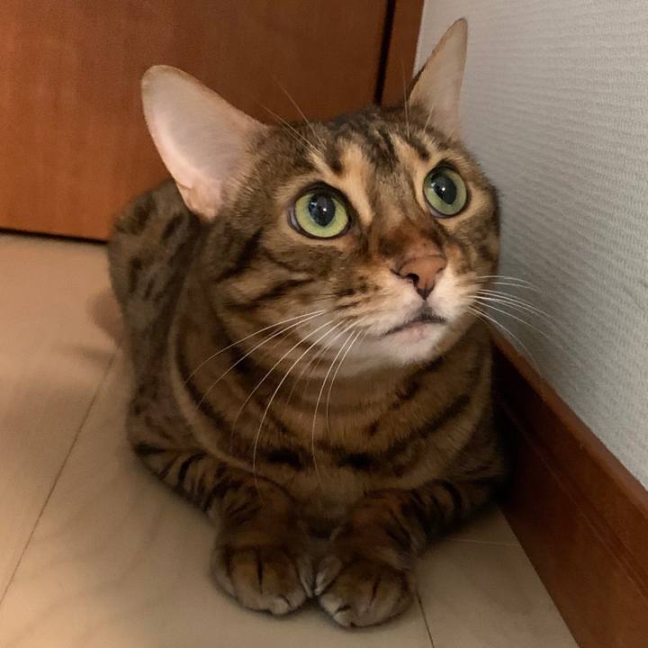 E99b4fea 7c60 4597 81df 6a65aec6749a 1598054306404