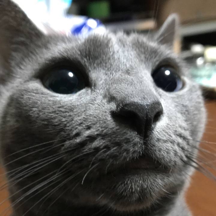 E99b5c68 a8b6 4171 a84d 318fecfd22a5 1545441166761