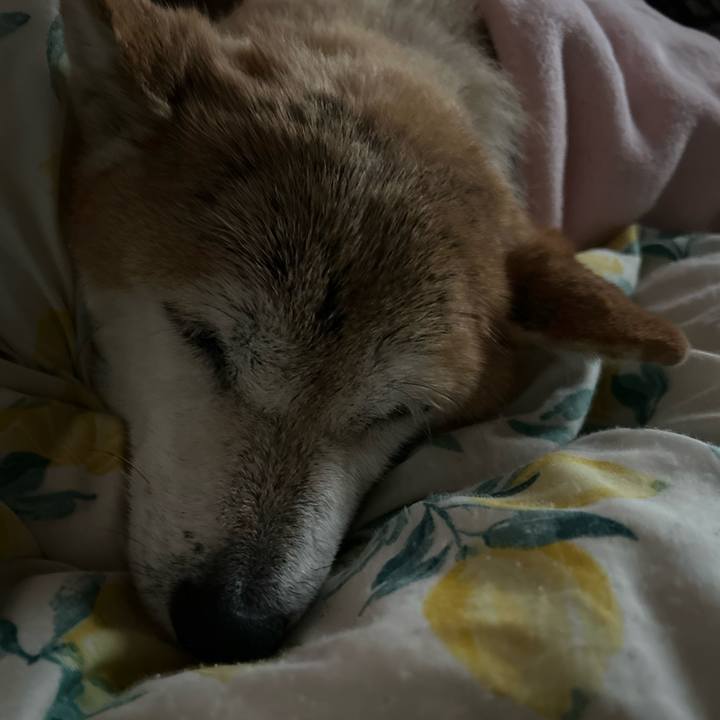 E99ba998 3334 4382 b93c ffefa292e271 1762385260008