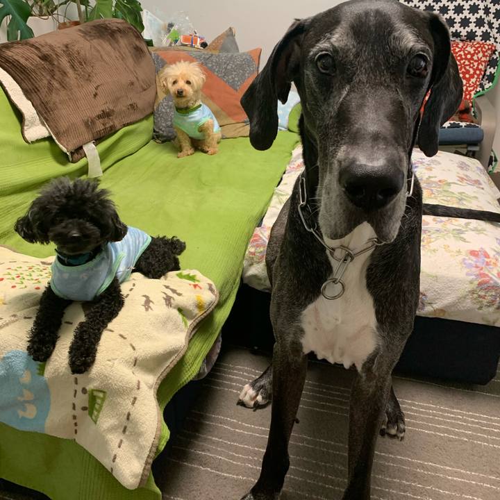 E99bd915 b737 4a3a aad9 cfdba96fb97d 1592260262608