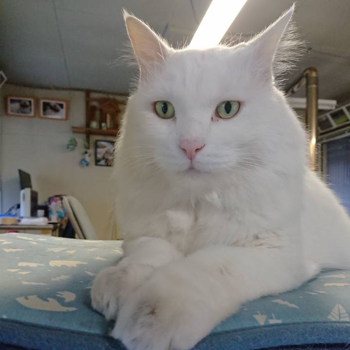 E99beea8 9842 474f b5bf ecf0d66f2edf 1569450227945