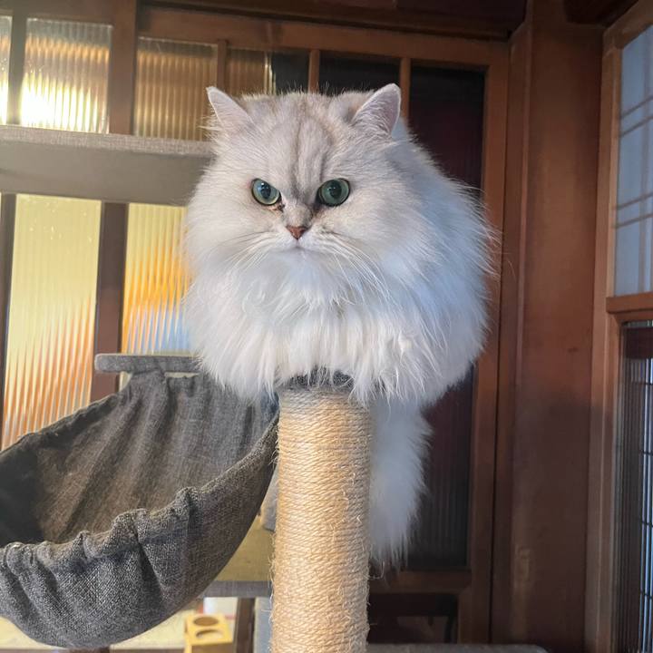 E99c1189 32c3 4f0c 9990 4ff0157f6072 1680088820794