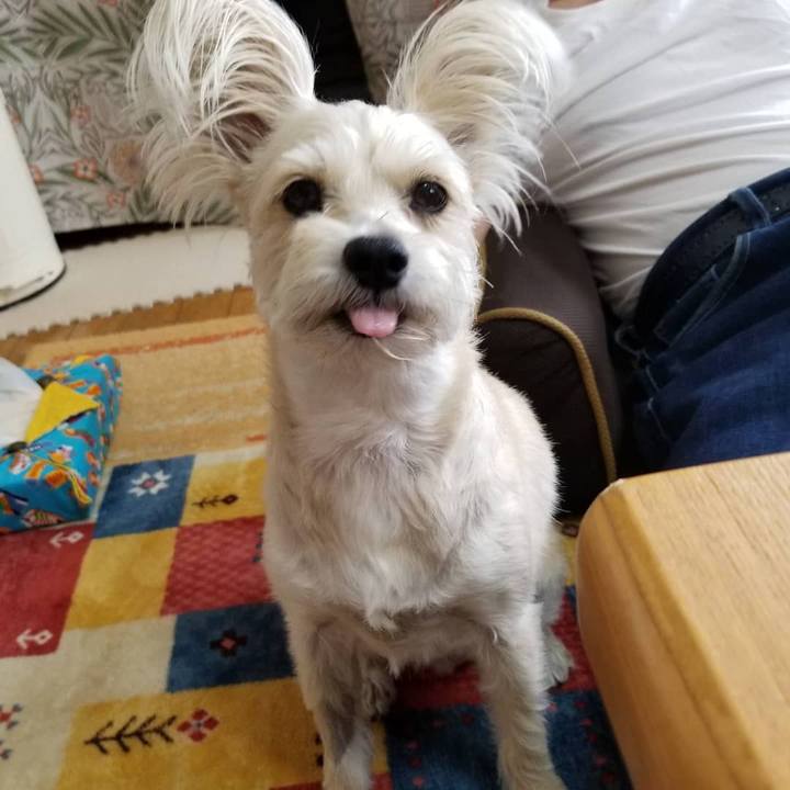 E99c20cc 9dec 4b4e 95e6 a5c37f572f54 1539004225165