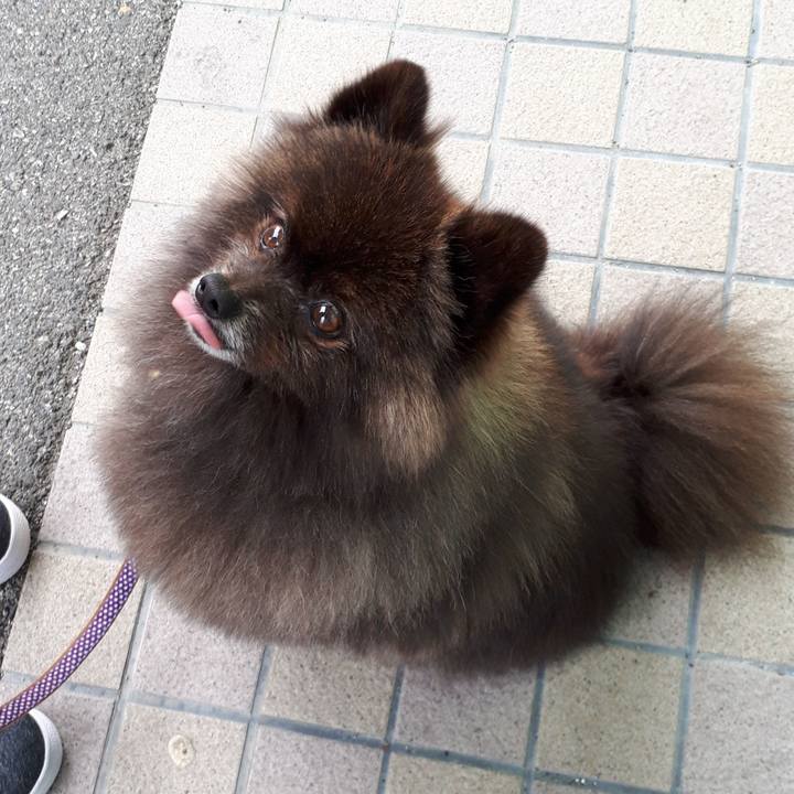 E99c239d f3cc 4634 9067 8cd6888bb4e4 1520141390196