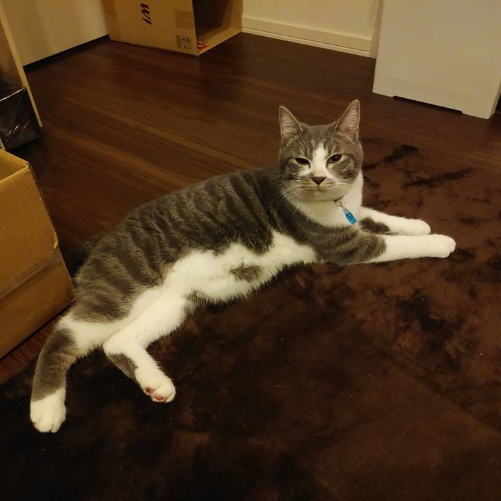 E99c4f24 3347 41a0 a1ba 24783cf2b267 1578395762370