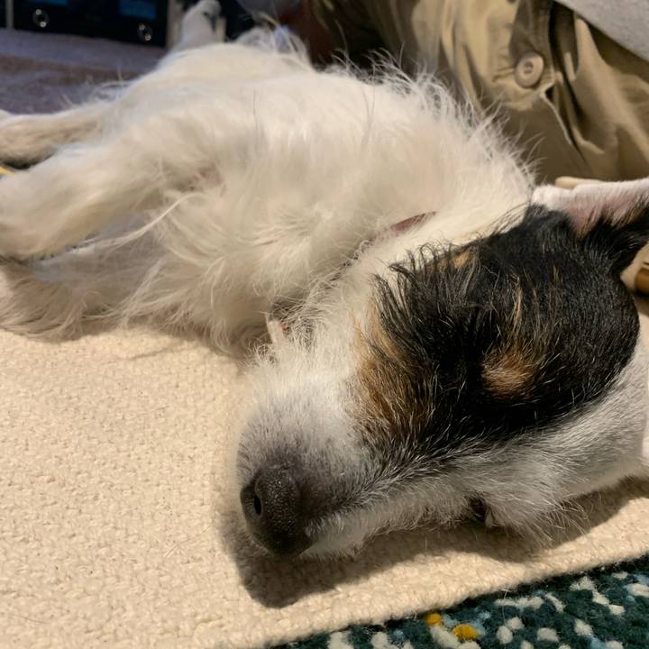 E99c63f9 da28 440e b05a b812e1210cb2 1678536921923