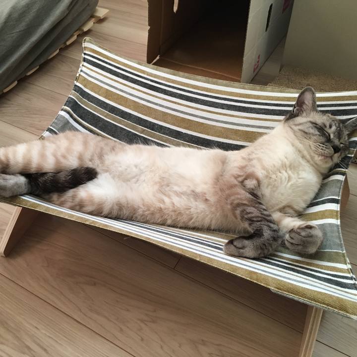 E99c746a 650b 4866 b164 628654e06f5f 1591693037610