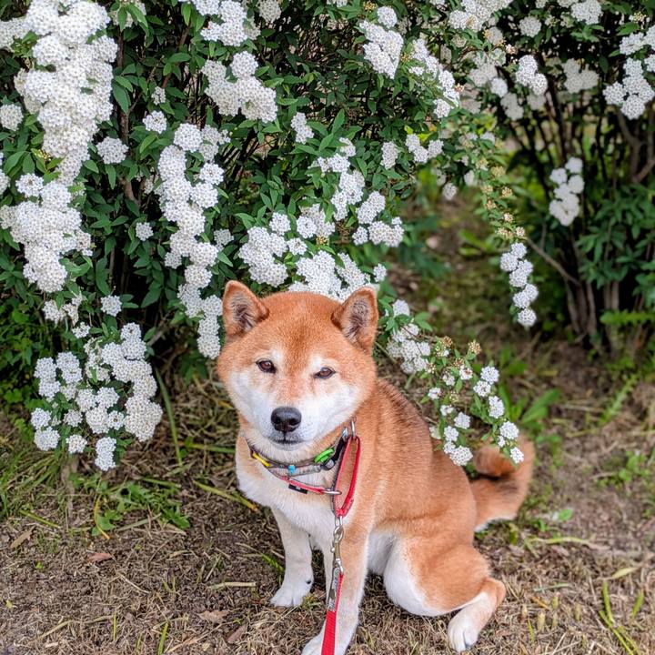 E99cd61a 6f4e 4159 98e5 3546cb9d48ad 1745645808739