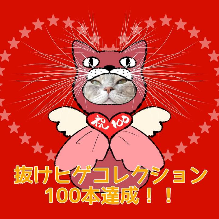 E99cd720 fb5a 4b8a 95c0 35cba7829ab8 1703738559270