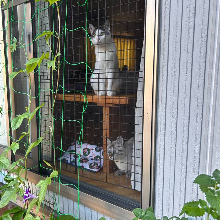 E99d030d 8857 4e79 bee9 0a755ffd500d 1753567040290