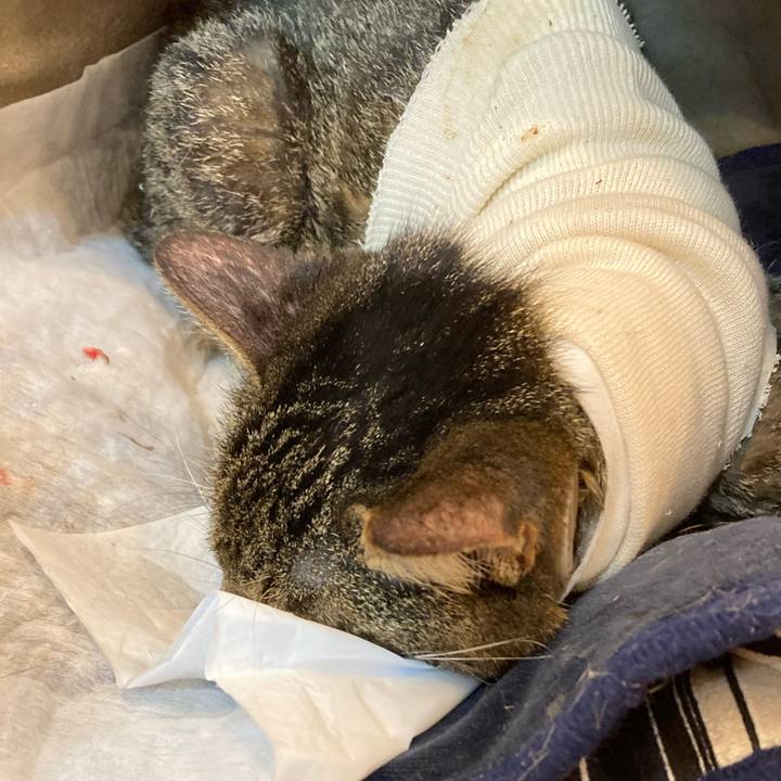 E99d42a9 d1f1 465a a6f9 ac09013d6f40 1687955085925