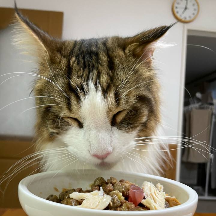 E99d5988 65b4 49fa bd96 60b126e90f65 1656411967871